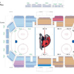 Goon s World Western Michigan University And Miami University Hockey