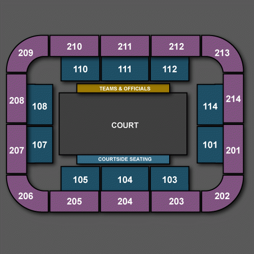 ZEO International Netball Tri Series Tickets For Copper Box Arena On 